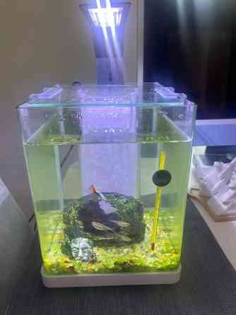 Aquarium Dubai