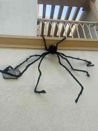 Spider Decoration Dubai