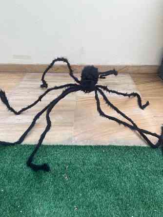 Spider Decoration Dubai