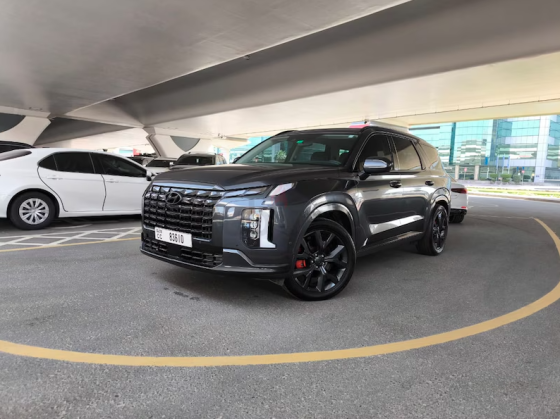 Hyundai Palisade I 2020 I 123000 km Dubai