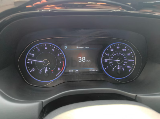 Hyundai Palisade I 2020 I 123000 km Dubai