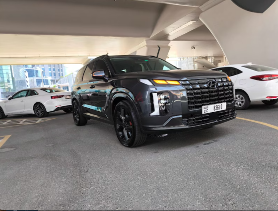 Hyundai Palisade I 2020 I 123000 km Dubai